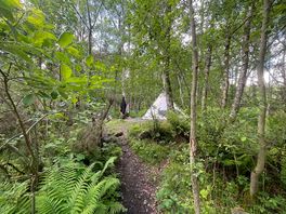 Woodland pitch 4