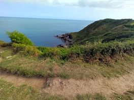 View from the coastal path
