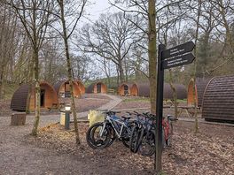 Site