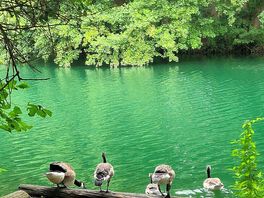 Great fishing lake opposite the site