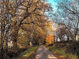 Local road