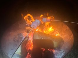 Hired a fire pit onsite and bought marshmallows & skewers from the onsite food van, bliss :)