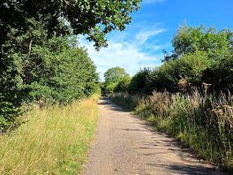 Lovely walking path to the fishery