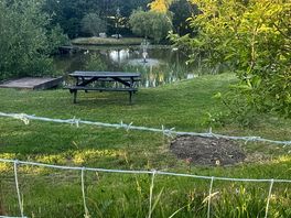 Picnic benches by the lake