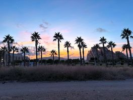 Sunset from site