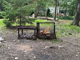 Fire