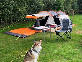 Zuri my husky a very happy boy! plot here was #26 in beech.