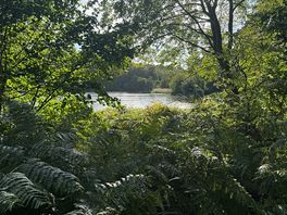 The lake