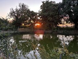 Sunset over the campsite's pond