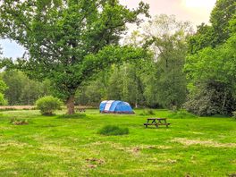 Grass pitches