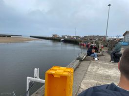 Amble harbour