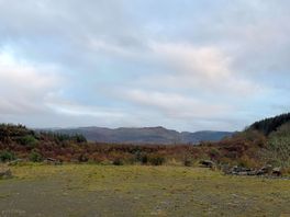Walk around the estate