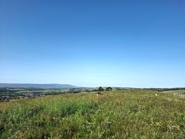 Views from the site