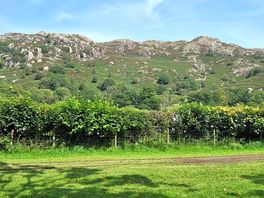 View of mountains from tent