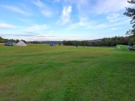 Nice spacious camping pitches with space to play in the middle.