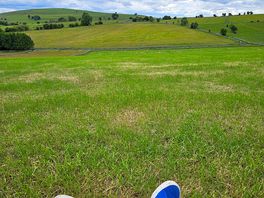 Scenery