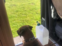 Rosa enjoyed watching the birds at glan menai!