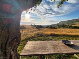 Shared picnic area