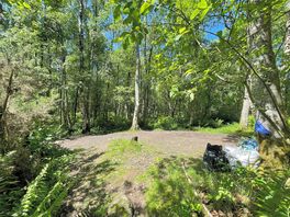 Woodland pitch 4