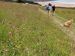 Walk to putsborough, took about 45 mins