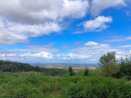 Great distance to haldon forest