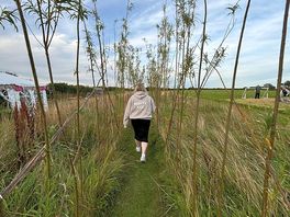 Exploring the site