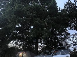 Photo of our set up with cover under tree if it did rain