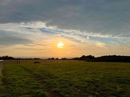 Soon after sunrise.
