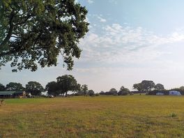 Peaceful morning