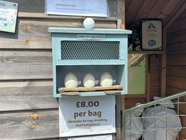 Eggs !