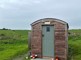 The sheep fold