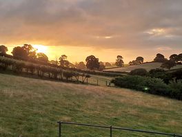 Picture windows indeed - sunrise.