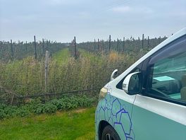 Calm electric pitch over looking orchard