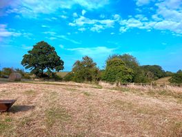 Rolling fields