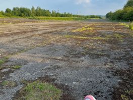 The airfield perfect for nature watching