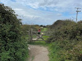 Path - around 20 minutes to woolacombe town/beach
