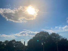 The sun is over the field all day. owner will tell you where you get most shade!