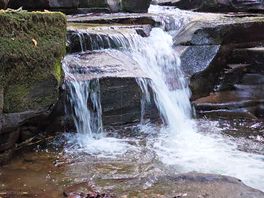 Campsite river walk