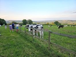 Our neighbours