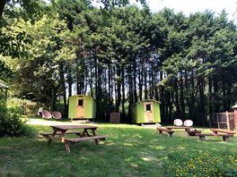 Picnic tables and huts shaded by trees