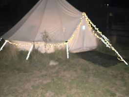 Fairy lights