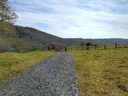 Wonderful walks