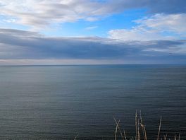 Peaceful