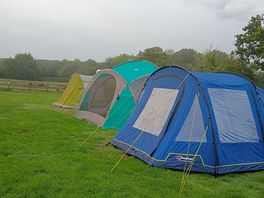 Our pitches