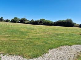Top field