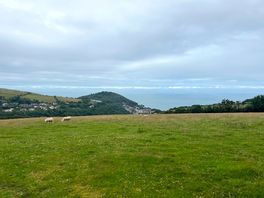 Hilltop view