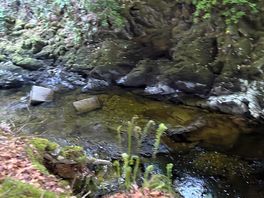 River next to camp