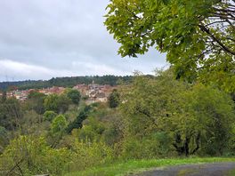 The village and short walk