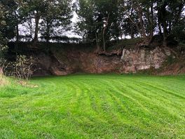 The quarry