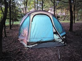 Night woodland camping